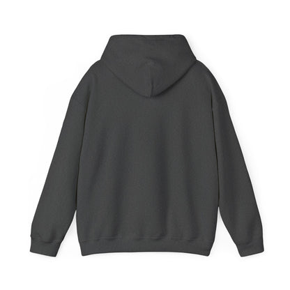 Iron Fit USA Hoodie – Gold IF Logo Athletic Pullover