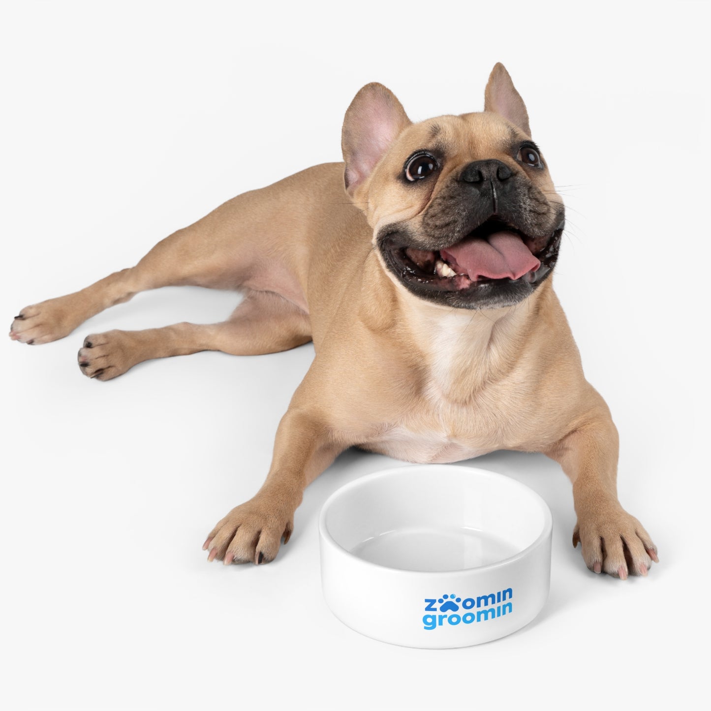 Personalized Pet Bowl - Customizable Dog and Cat Dish, Ideal for Pet Lovers, Perfect Gift for Dog and Cat Owners, Fun Pet Supplies